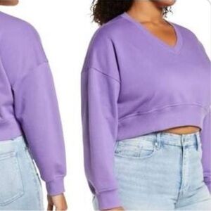 NWOT BP-Nordstrom, Purple Dahlia Crop V-Neck Sweatshirt, Size 1X